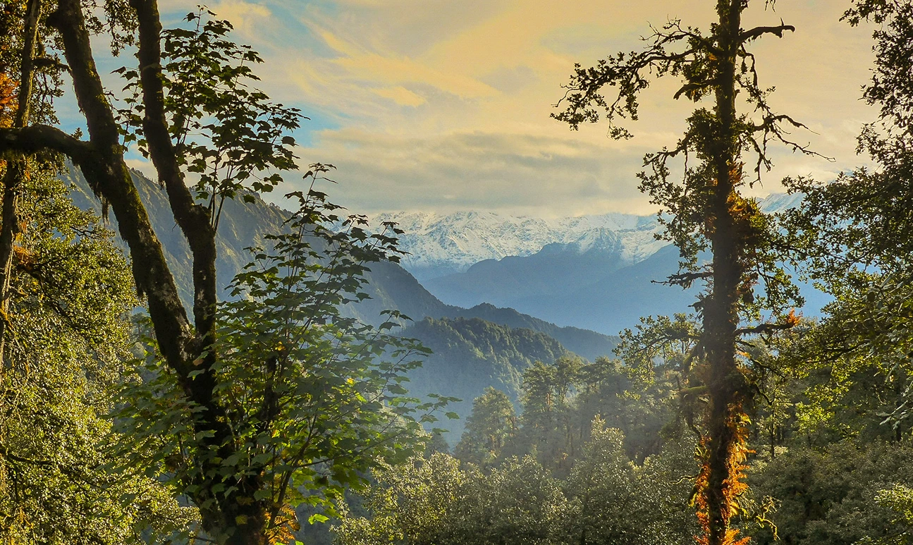 Dayara Bugyal 1